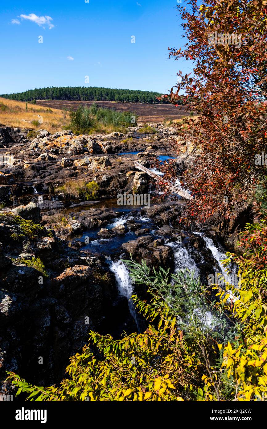 Blick auf die Lissabonner Wasserfälle entlang Südafrikas Panoramastraße in den Drakensberg Mountains. Stockfoto