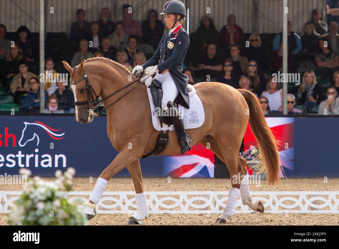 BILDER ABLEGEN. Juli 2024. Charlotte Dujardin hat sich von den Olympischen Spielen in Paris zurückgezogen. Sie hat in einer Erklärung erklärt, dass „ein Video von vor vier Jahren entstanden ist, das zeigt, wie ich während einer Coaching-Sitzung einen Beurteilungsfehler mache. Verständlicherweise untersucht die Internationale Föderation für Reitsport (FEI), und ich habe beschlossen, mich von allen Wettkämpfen - einschließlich der Olympischen Spiele in Paris - zurückzuziehen, während dieser Prozess stattfindet." Windsor, Berkshire, Großbritannien. 30. Juni 2021. Die Olympiasiegerin Charlotte Dujardin nimmt an einem Dressurwettbewerb bei der Royal Windsor Horse Show in Win Teil Stockfoto