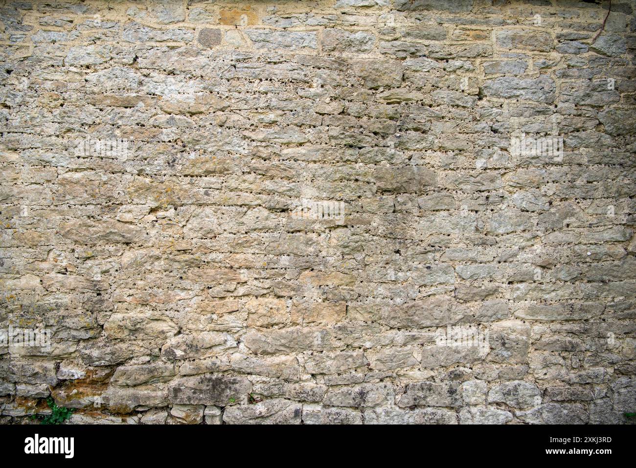 Gartenmauer Stockfoto