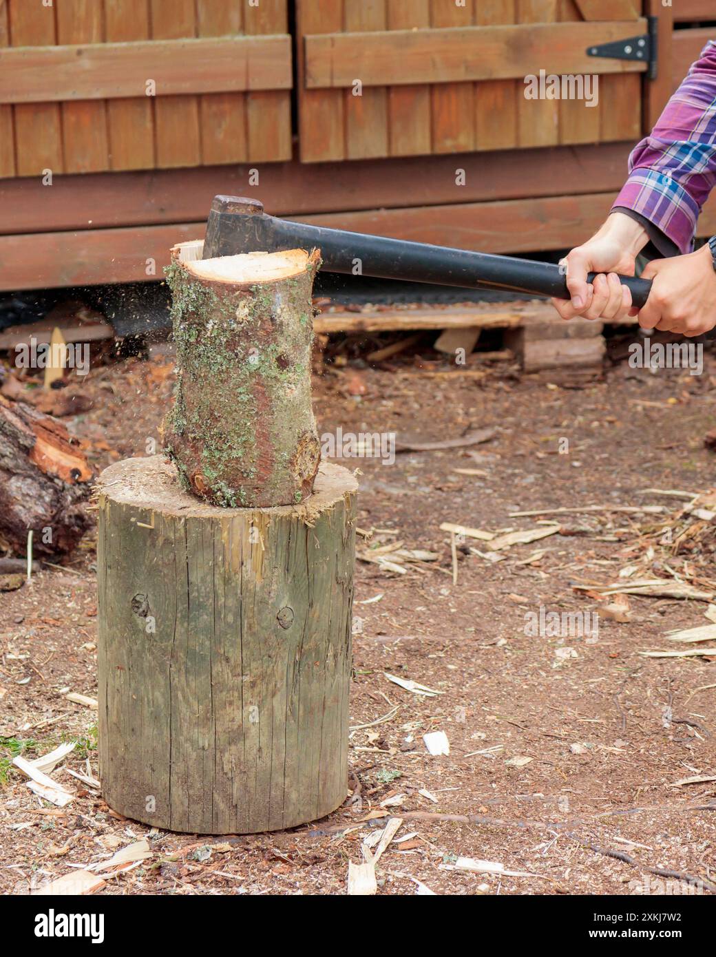 Hände und Axt in Brennholz, Mann hackt Holz für Feuerhitze, bereitet Brennholz für den Winter vor Stockfoto