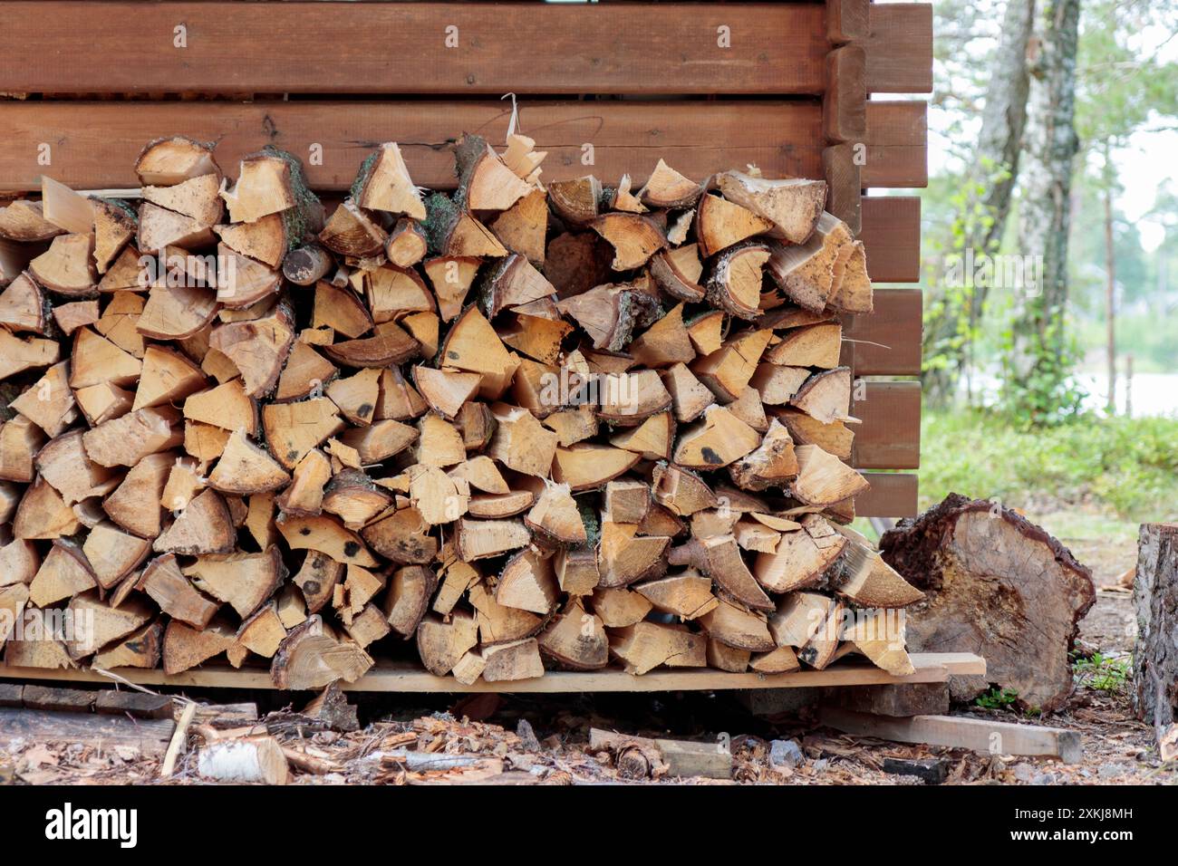 Holz gehackt und in einen Lagerstapel gestapelt. Brennholz als Energiequelle sammeln. Verschiedene Größen und Formen von Stämmen nach dem Fällen, Material Stockfoto