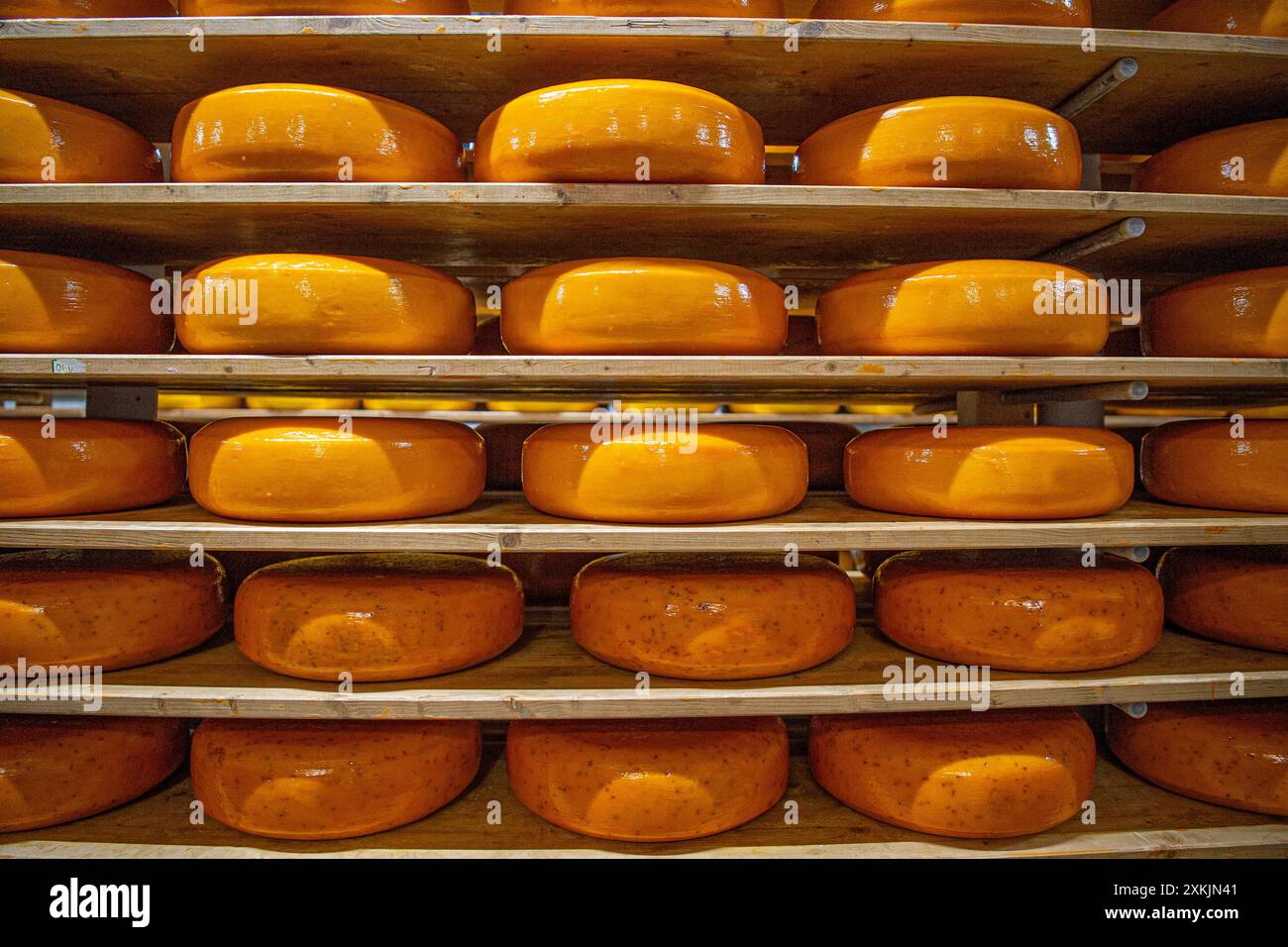 gouda im Käseraum Stockfoto