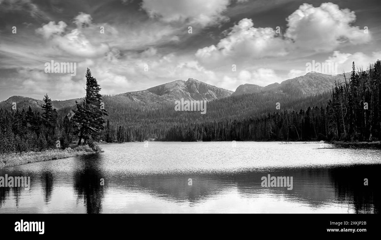 Der Sylvan Lake wurde als „ein kleiner, aber äußerst schöner Wasserbelag“ in der Nähe des Sylvan Pass im Yellowstone-Nationalpark in Wyoming beschrieben. Stockfoto