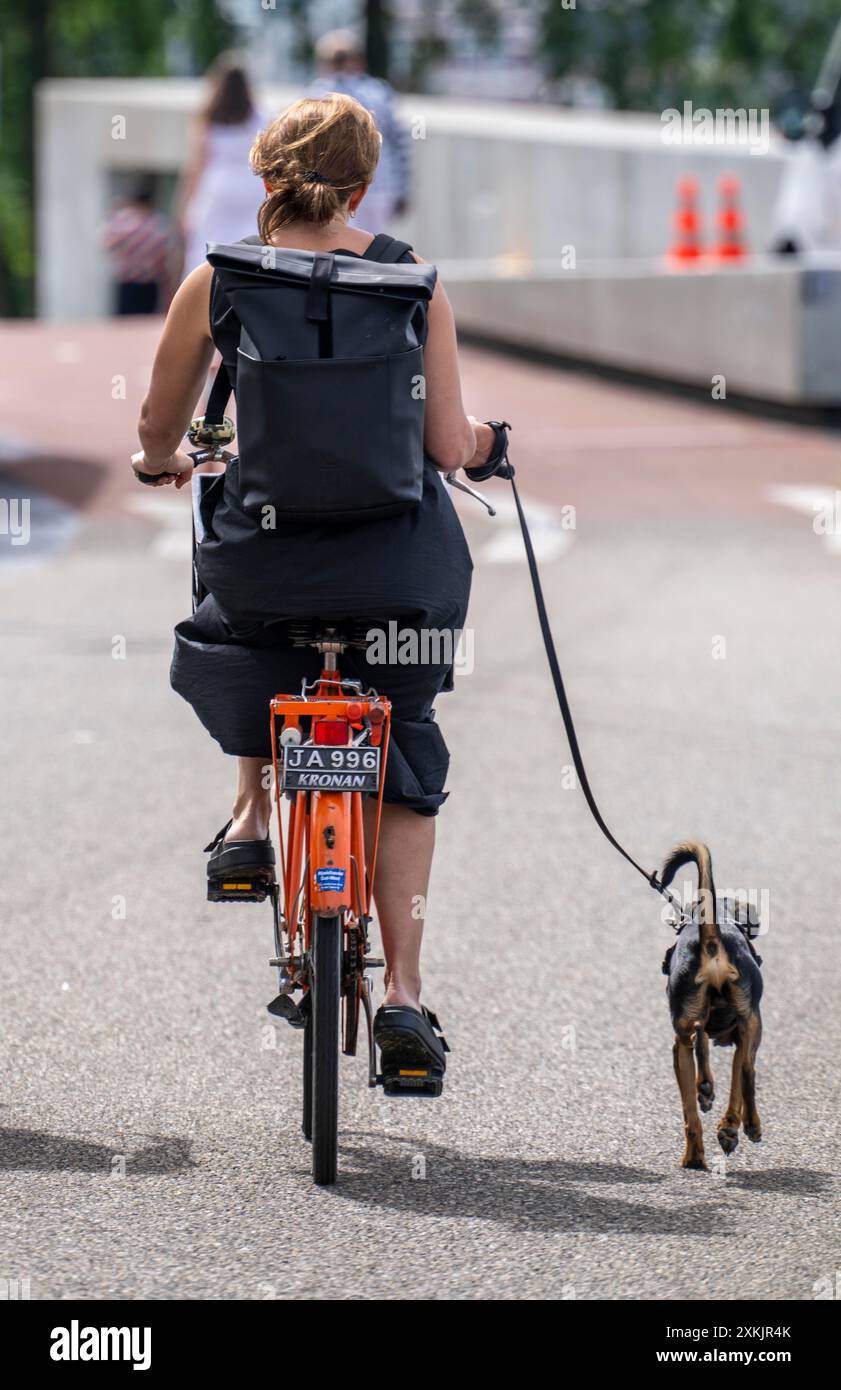 Radweg in Amsterdam, Hund an der kurzen Leine neben dem Fahrrad, Niederlande Stockfoto