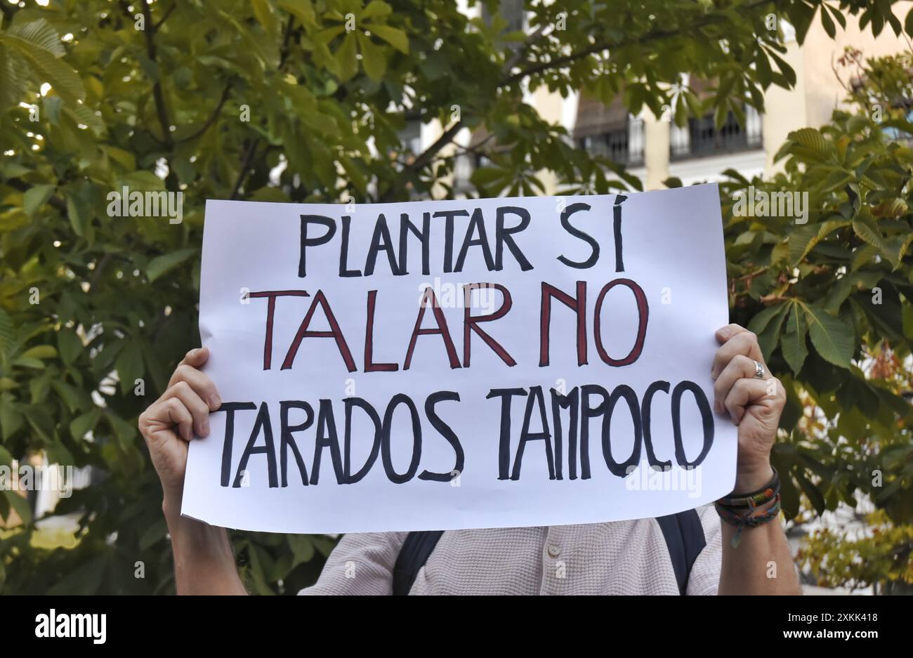 Madrid, Madrid, SPANIEN. Juli 2024. Protest auf der Plaza de Santa Ana in Madrid gegen die Intervention, die in der emblematischen Enklave zur Umgestaltung des Tiefgaragenparkplatzes durchgeführt wird, und dass der stadtrat von Madrid 30 Bäume Fällen will (Credit Image: © Richard Zubelzu/ZUMA Press Wire) NUR REDAKTIONELLE VERWENDUNG! Nicht für kommerzielle ZWECKE! Stockfoto