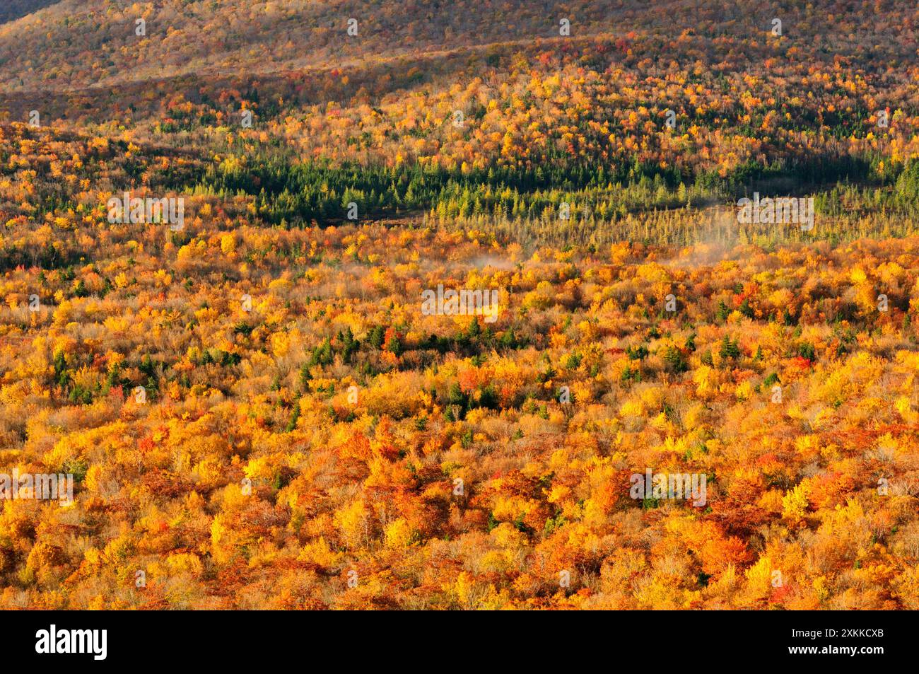 Blick vom Indian Head, Franconia Notch State Park, White Mountains, Grafton County, New Hampshire, New England, Ostküste, USA Stockfoto