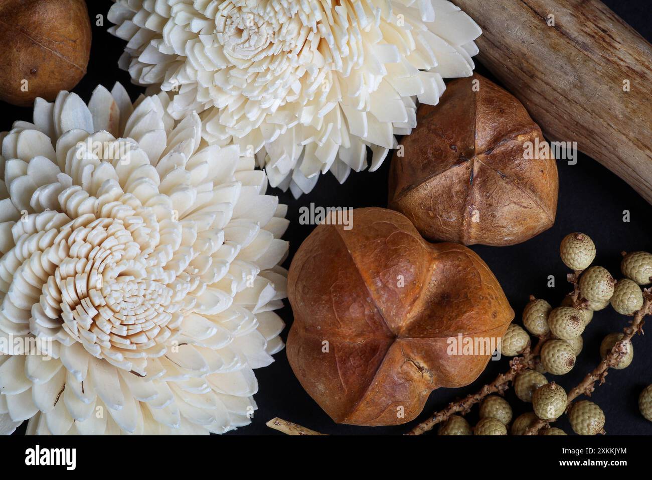 Dekorative getrocknete Blumen, Samenkapseln und Zweige Stockfoto