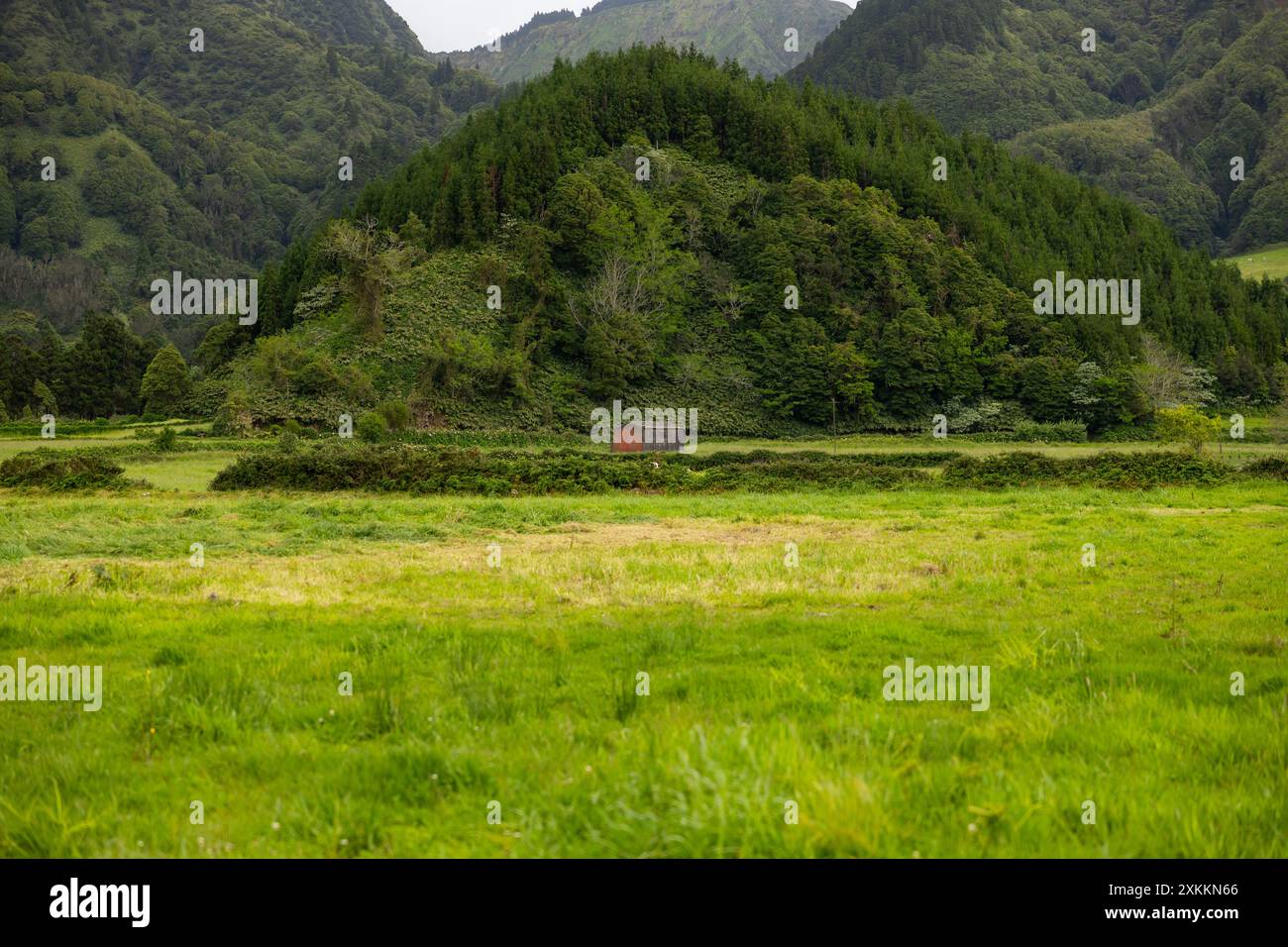 Grüne Wiese mit altem Haus in den Bergen. Stockfoto