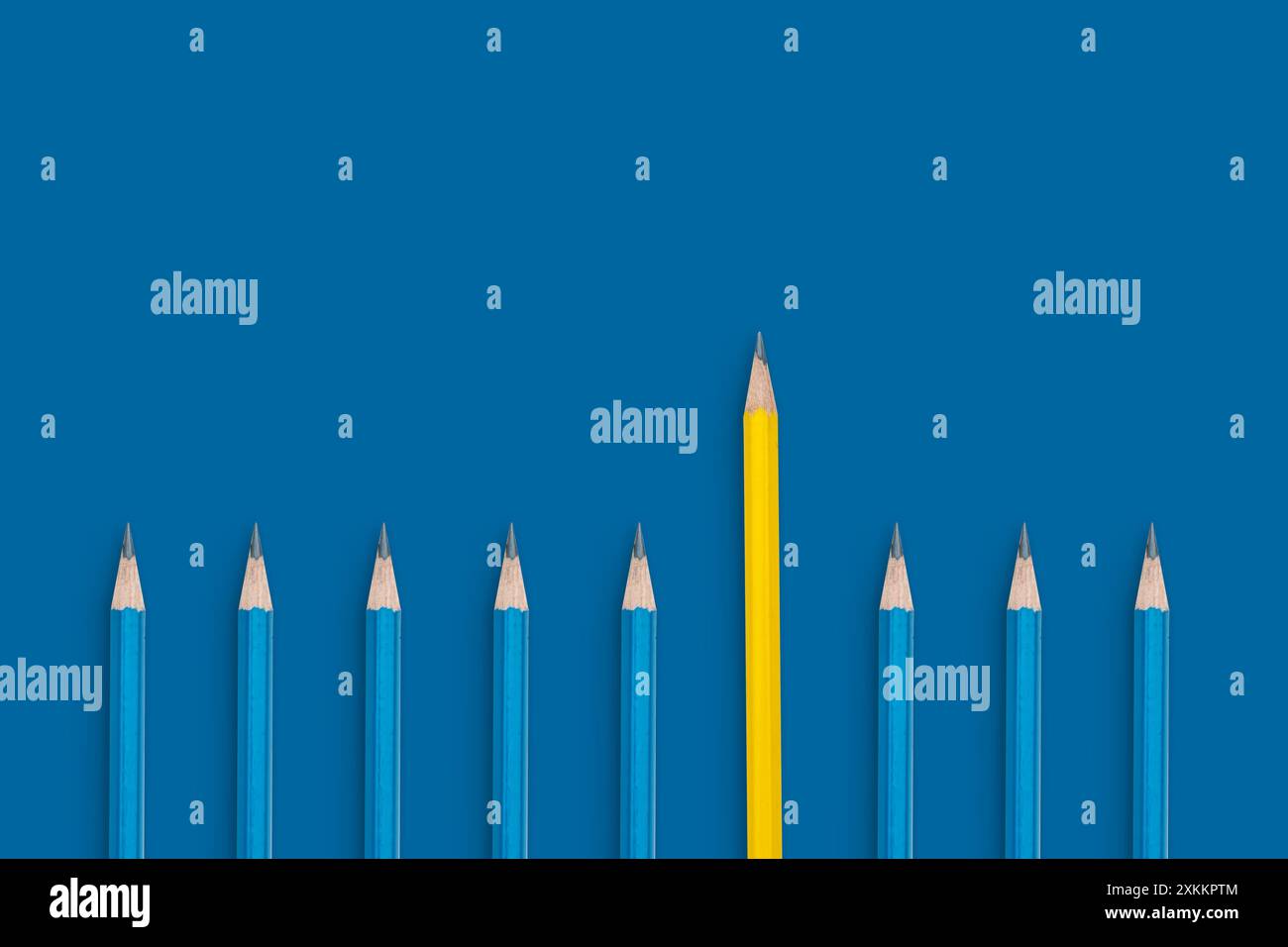 Eine Reihe von Bleistiften mit einem gelben Bleistift in der Mitte. Die Bleistifte sind alle blau. Heben Sie sich vom Crowd-Konzept ab. Stockfoto