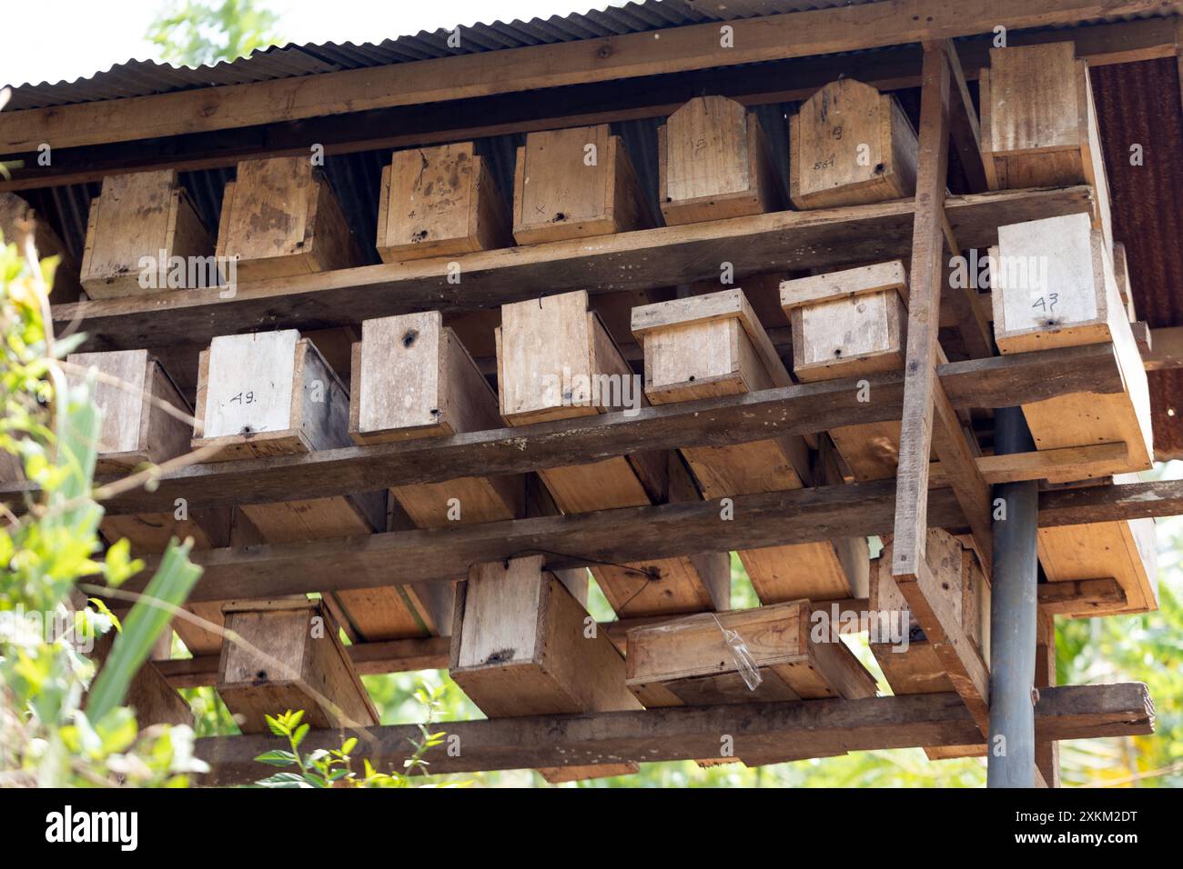 05.11.2023, Indonesien, Lombok, Keroya - typische lokale Bienenkästen. Ein Bienenstock ist eine kleine Form von Bienenstock und wird zum Aufbau kleiner Bienenvölker verwendet Stockfoto