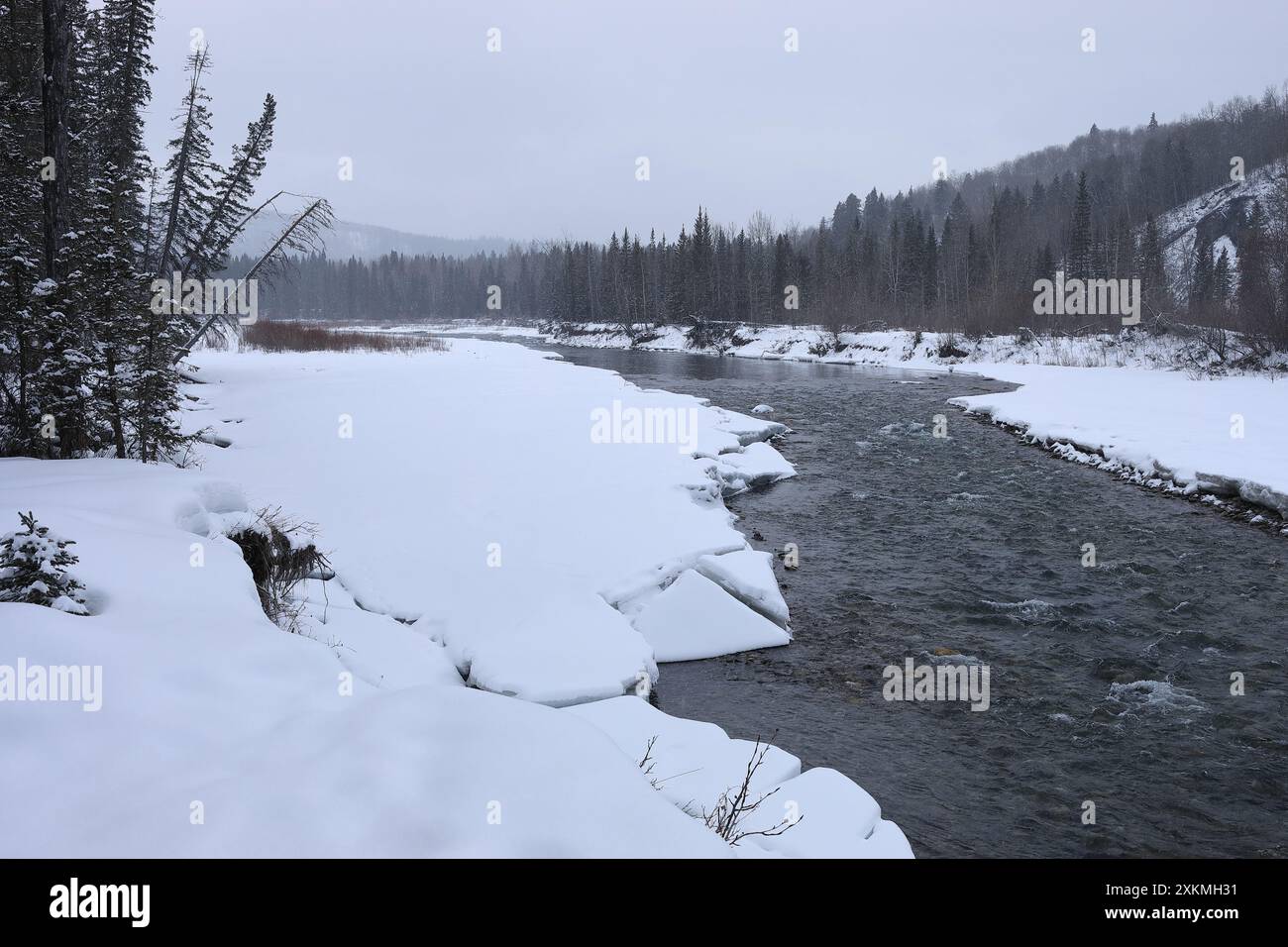 Schneebedeckter Blick auf den Fluss Kananaskis Stockfoto