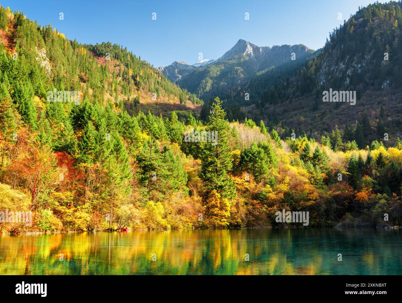 Fantastischer Blick auf bewaldete Berge und farbenfrohen Herbstwald Stockfoto
