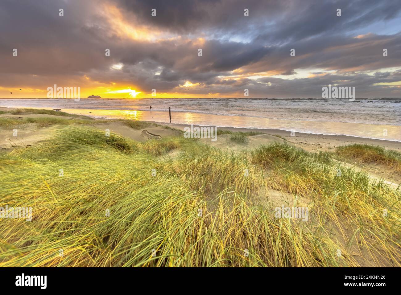 Dünenlandschaft unter bewölktem Herbsthimmel. Dunkle Wolken, die über der untergehenden Sonne wehen. Wijk aan Zee, Nordholland. Niederlande. Meereslandschaft der Natur Stockfoto