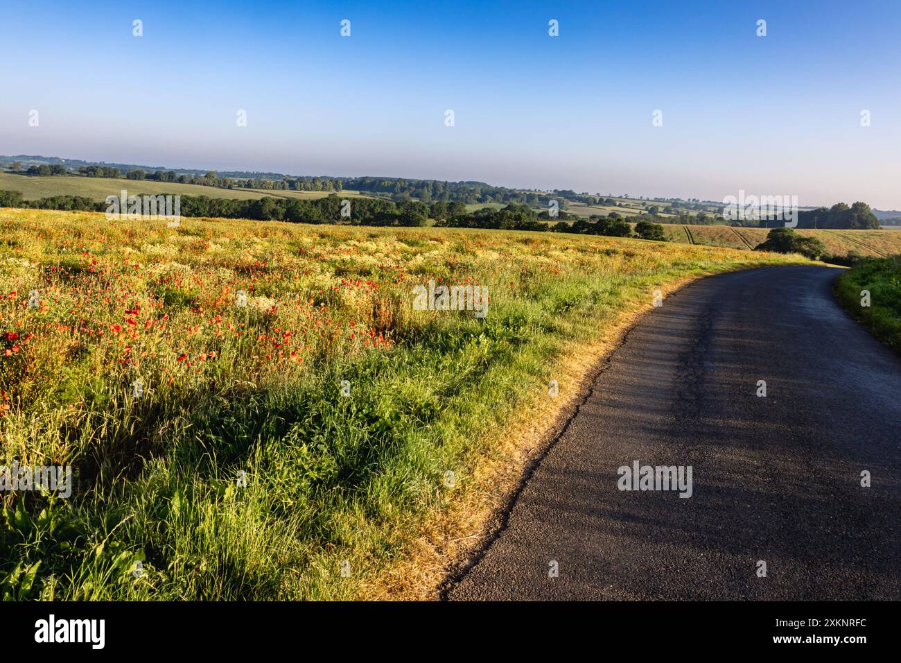 Ein Feld mit Wildblumen und rotem Mohn, mit dem Hintergrund der sanften Felder von Northamptonshire in Soft Focus, England, Großbritannien Stockfoto