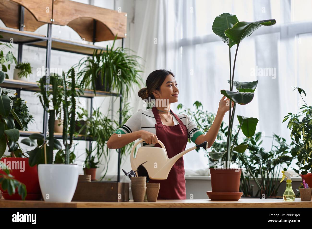 Eine asiatische Frau auf einer Schürze bewässert in ihrem Blumenladen. Stockfoto