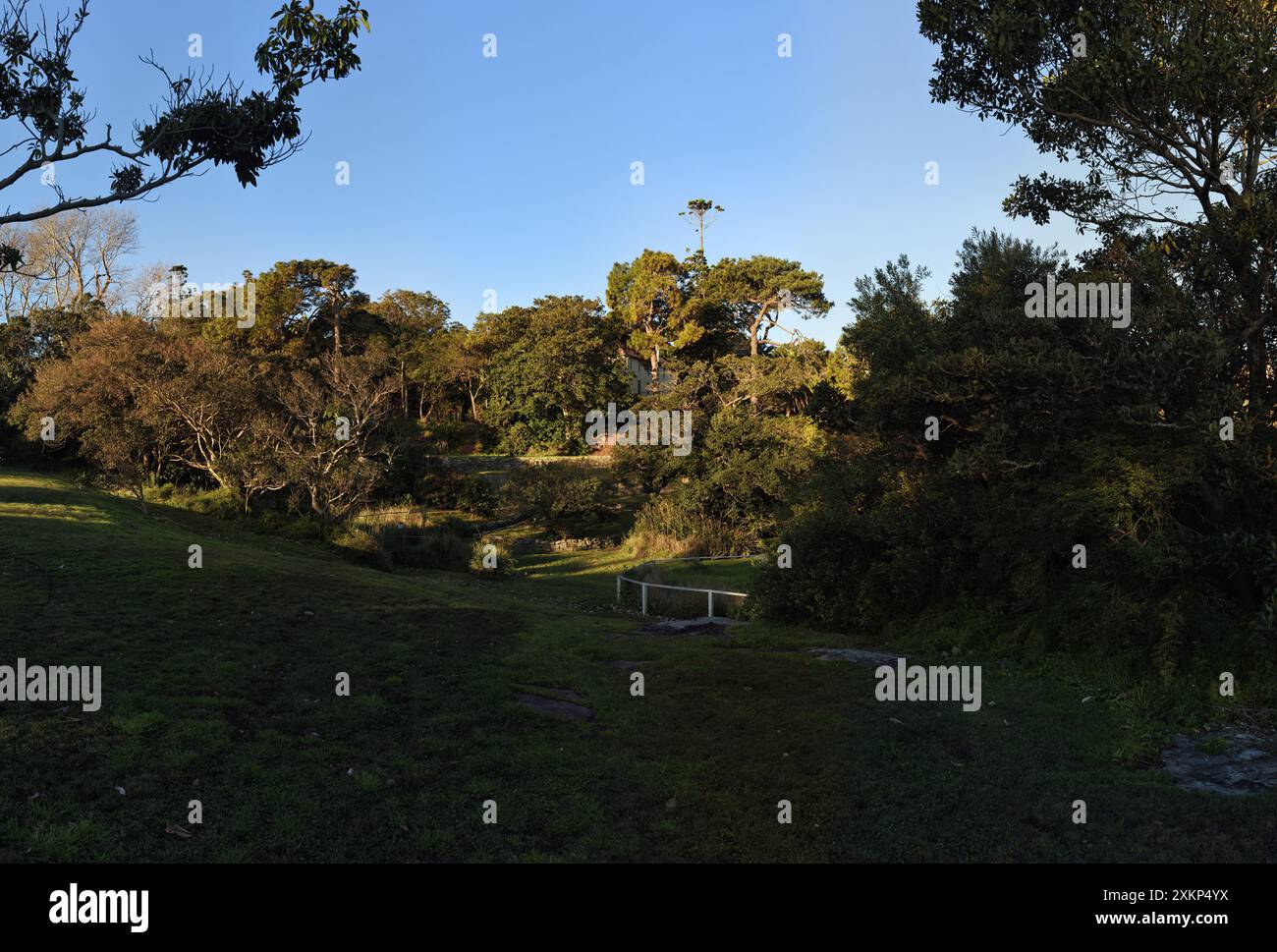 Gardenesque-Stil. Die Bäume, der Garten und der Park rund um Strickland House, Vaucluse, Sydney Stockfoto