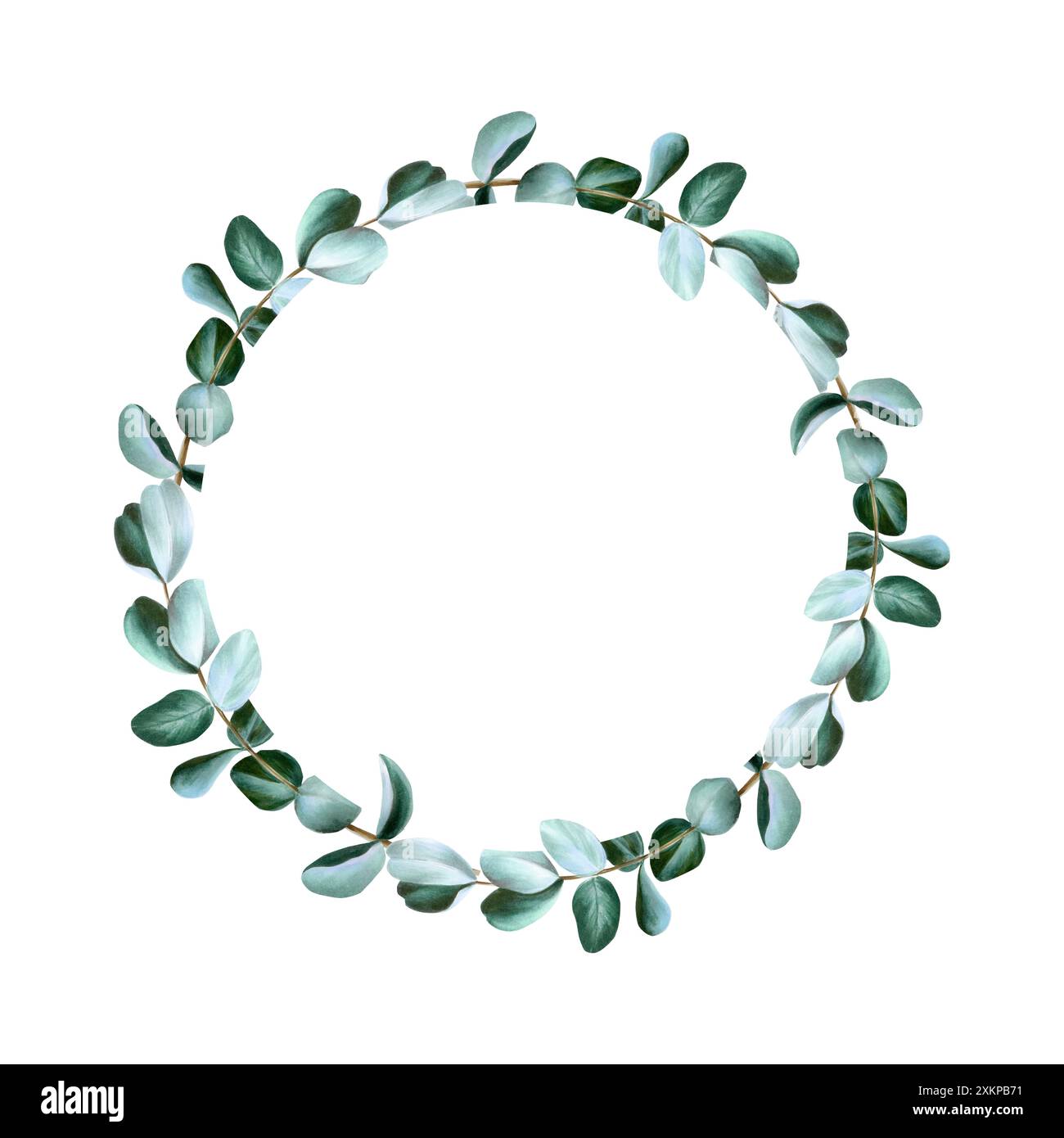 Realistischer Eukalyptuszweigkranz, Logo, Rahmen. Aquarell Hand gezeichnete grüne Pflanze isoliert auf transparentem Hintergrund. Weihnachten, Winter und Hochzeit Stockfoto