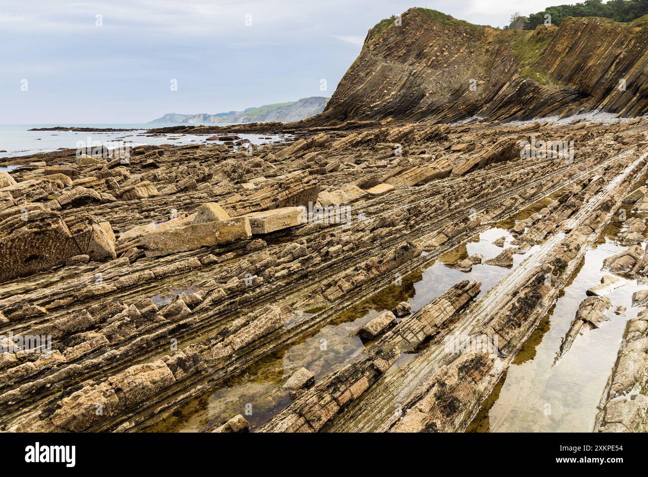 Betrachtung von Gesteinsformationen in horizontalen Schichten verschiedener Materialien mit Meerwasserpfützen. Sakoneta Flysch, Deba, Gipuzkoa, Baskenland, Spanien. Stockfoto