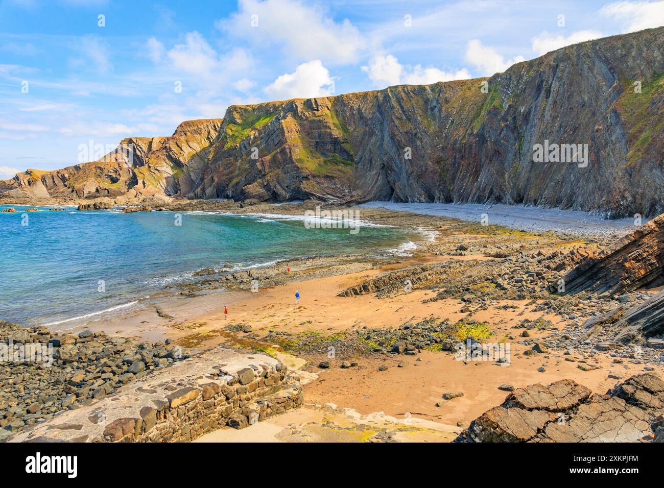 Die dramatischen, gefalteten Gesteinsschichten aus Lehmsteinen und Sandsteinen am Hartland Quay auf dem SW Coast Footpath in Devon, England, Großbritannien Stockfoto