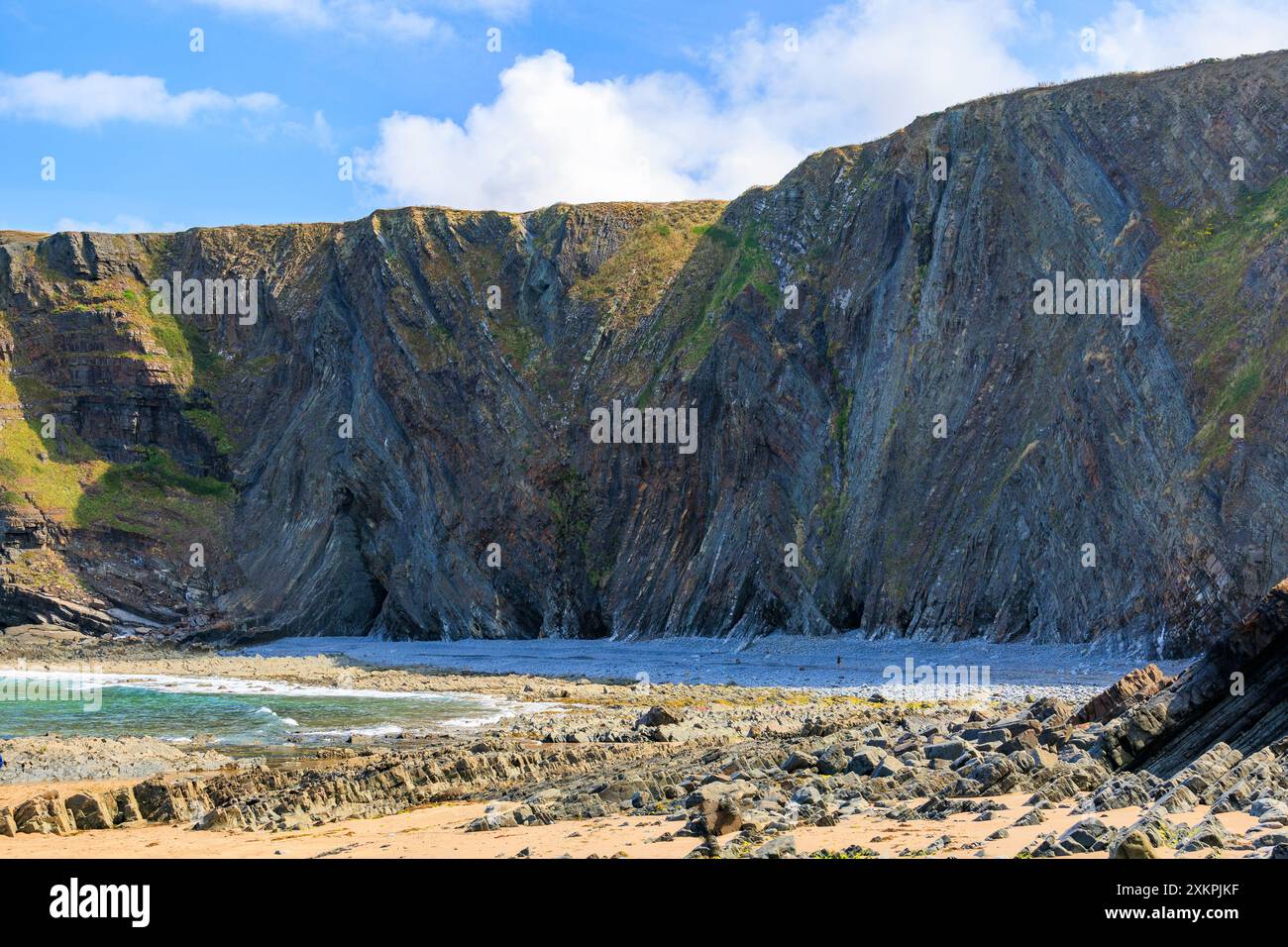 Die dramatischen, gefalteten Gesteinsschichten aus Lehmsteinen und Sandsteinen am Hartland Quay auf dem SW Coast Footpath in Devon, England, Großbritannien Stockfoto