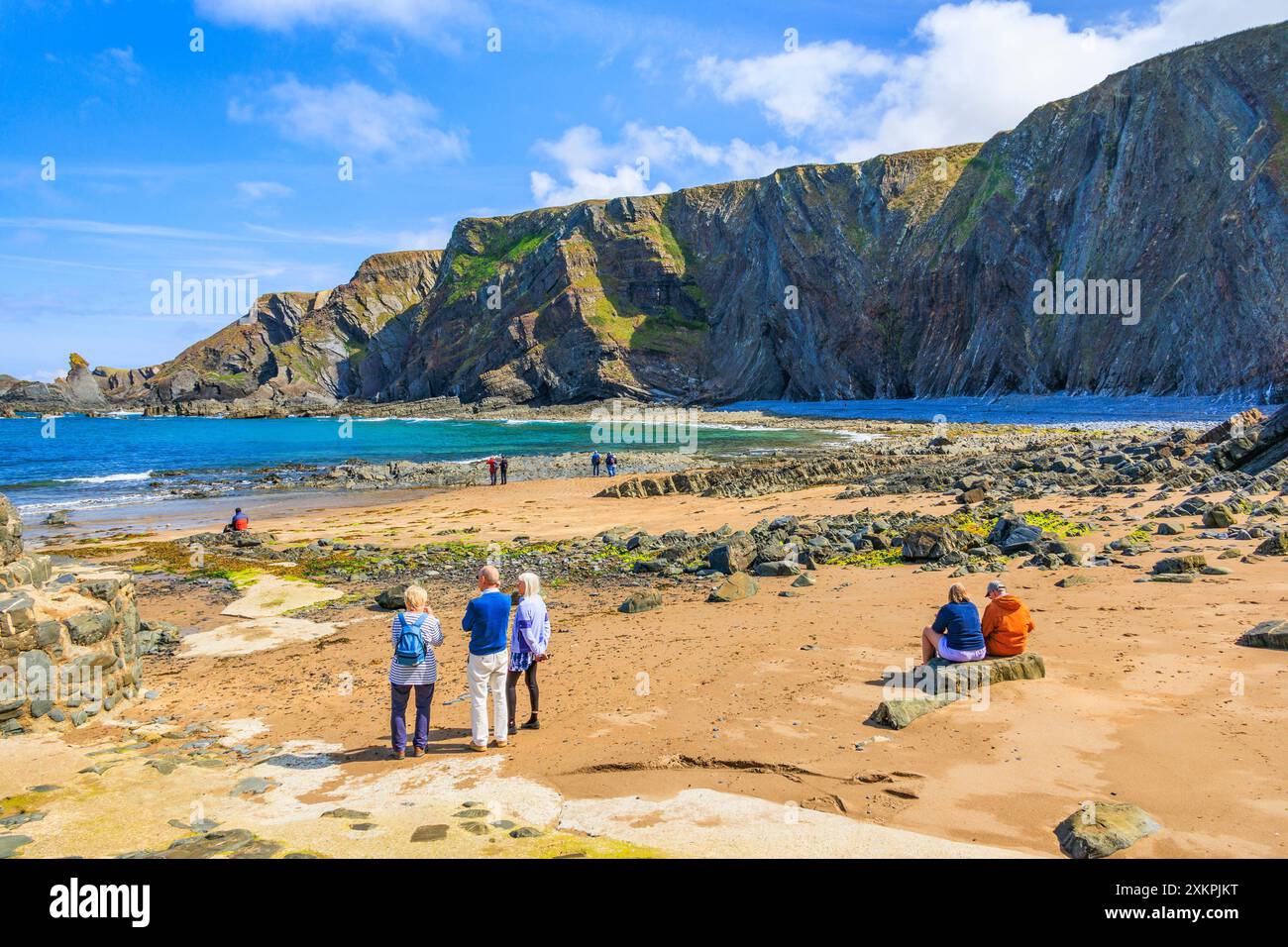 Besucher bewundern die dramatischen gefalteten Felsschichten aus Lehmsteinen und Sandsteinen am Hartland Quay auf dem SW Coast Footpath in Devon, England, Großbritannien Stockfoto