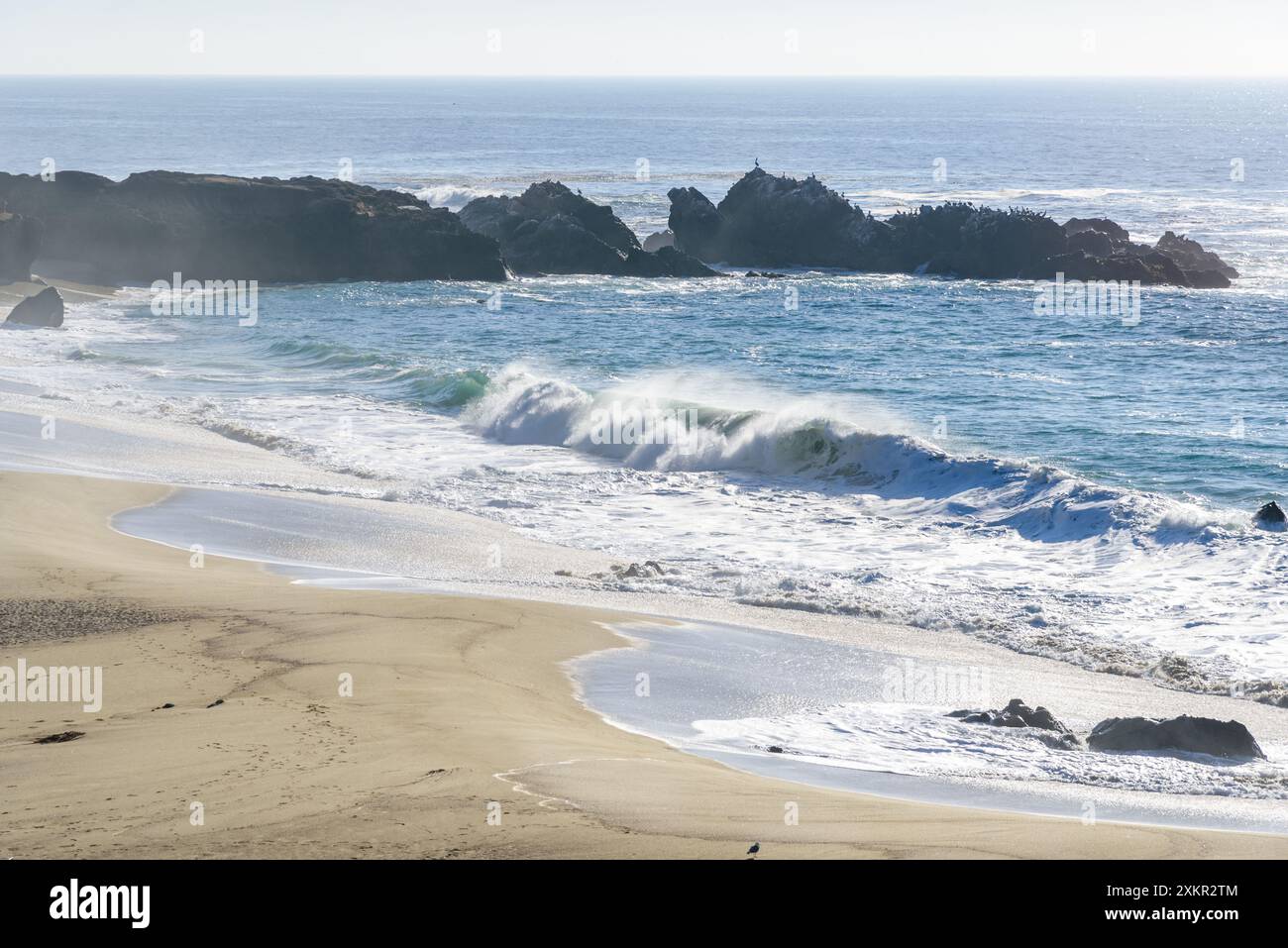 An einem sonnigen Herbsttag brechen große Wellen an einem Sandstrand an der Küste Kaliforniens Stockfoto