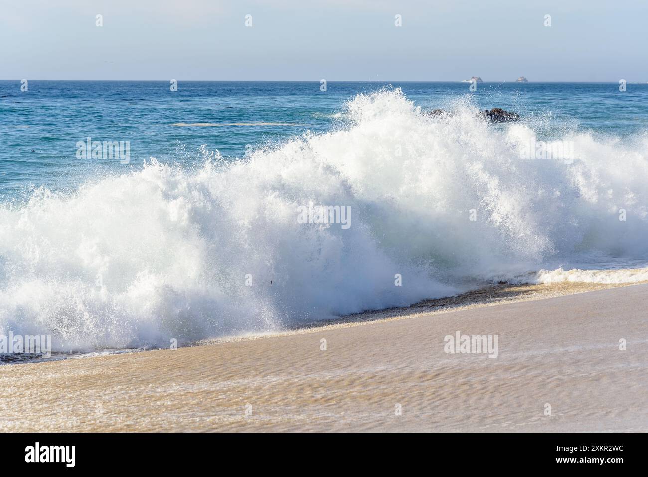 Eine große Meereswelle stürzt an einem sonnigen Herbsttag an einem Sandstrand in Kalifornien Stockfoto