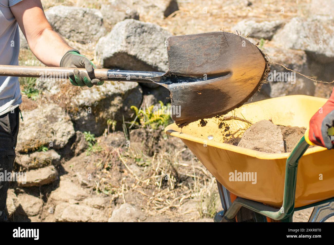 Arbeiter an einer archäologischen Ausgrabungsstätte, der Boden mit einer Schaufel in einer Schubkarre entsorgt Stockfoto