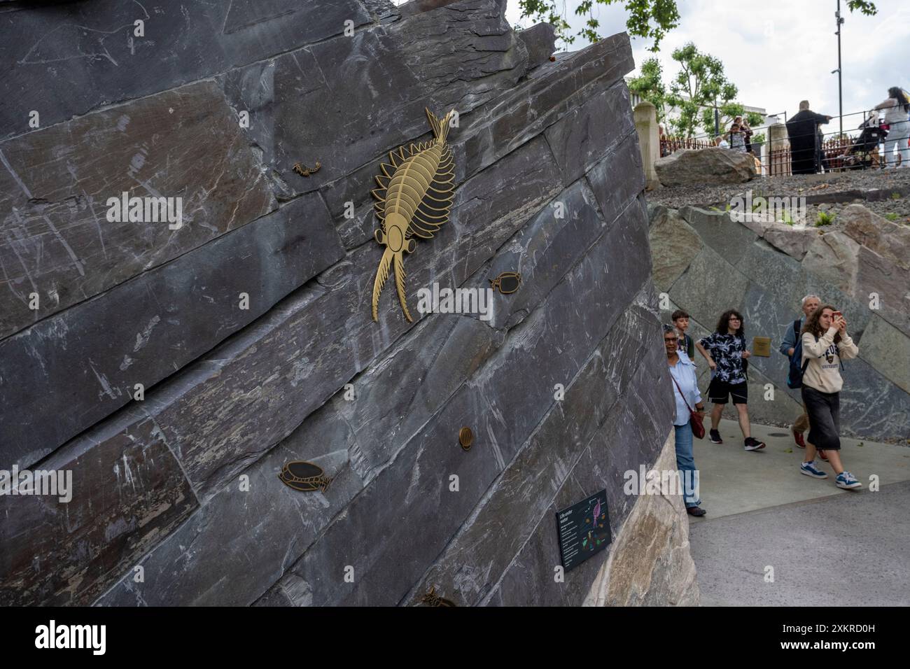 London, Großbritannien. 24. Juli 2024. Wetter in Großbritannien – die Menschen genießen die warmen Temperaturen bei einem Besuch der neu umgestalteten Gärten im Natural History Museum (im Bild ist die Evolution Timeline, ein Canyon, der mit antiken Steinen bedeckt ist und aus ganz Großbritannien gesammelt wurde). Als Teil des Urban Nature Project ist das ca. 5 Hektar große Gelände heute ein zugänglicher, frei zugänglicher Grünplatz und enthält einen neuen Bronzeguss des beliebten Diplodocus des Museums im Jurassic Garden. Die Prognose gilt für Regen und bewölktere Bedingungen am nächsten Tag. Quelle: Stephen Chung / Alamy Live News Stockfoto