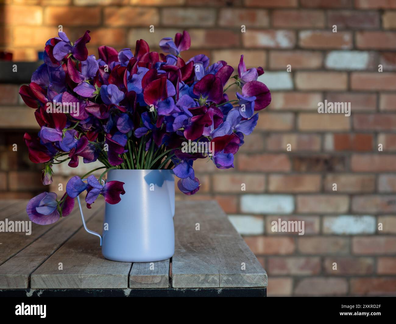 Krug aus lila/rosa/lilafarbenen Süßerbsen (Lathyrus odoratus 'Cupani'), die in einem rustikalen Stil an einer alten Ziegelwand geschnitten und angeordnet sind Stockfoto