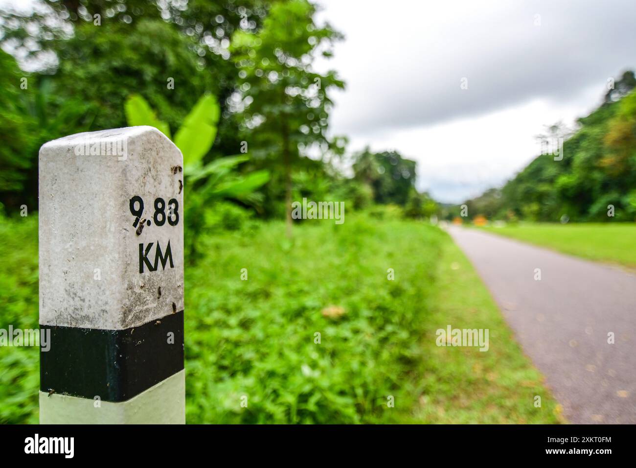 Bahnkorridor Sehenswürdigkeiten entlang der Bukit Timah Road, Singapur Stockfoto