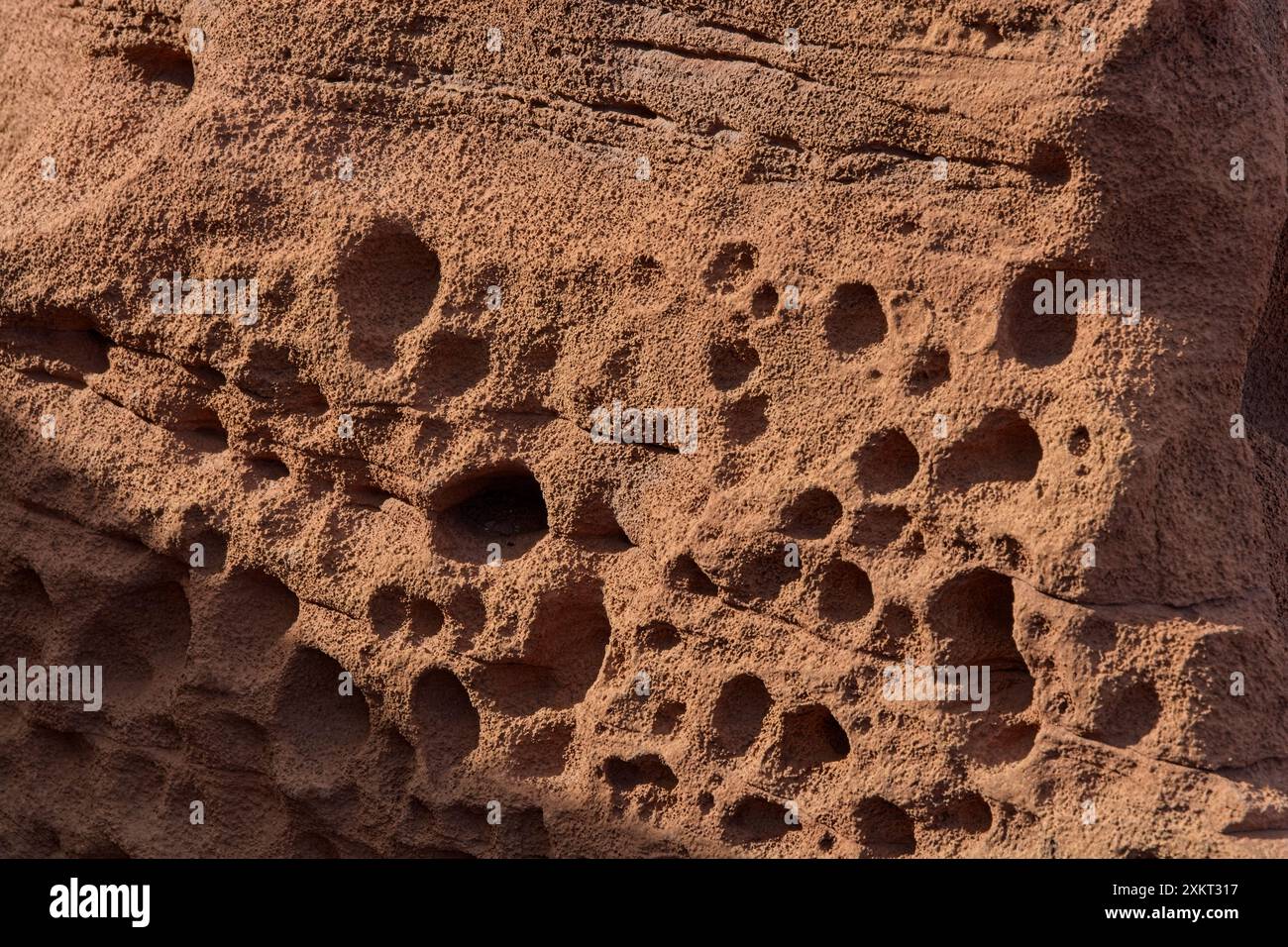 Seitlich beleuchteter, mit Taschen markierter Sandsteinvorsprung im Fundament zum Pueblo am Wupatiki National Monument Stockfoto