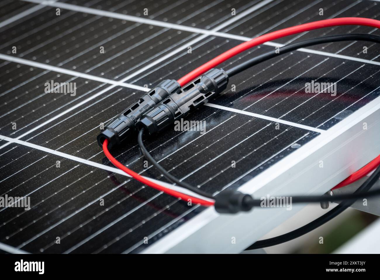 Nahaufnahme der mc4-Anschlüsse über dem Solarpanel. Erneuerbare Energien und Nachhaltigkeitskonzept Stockfoto