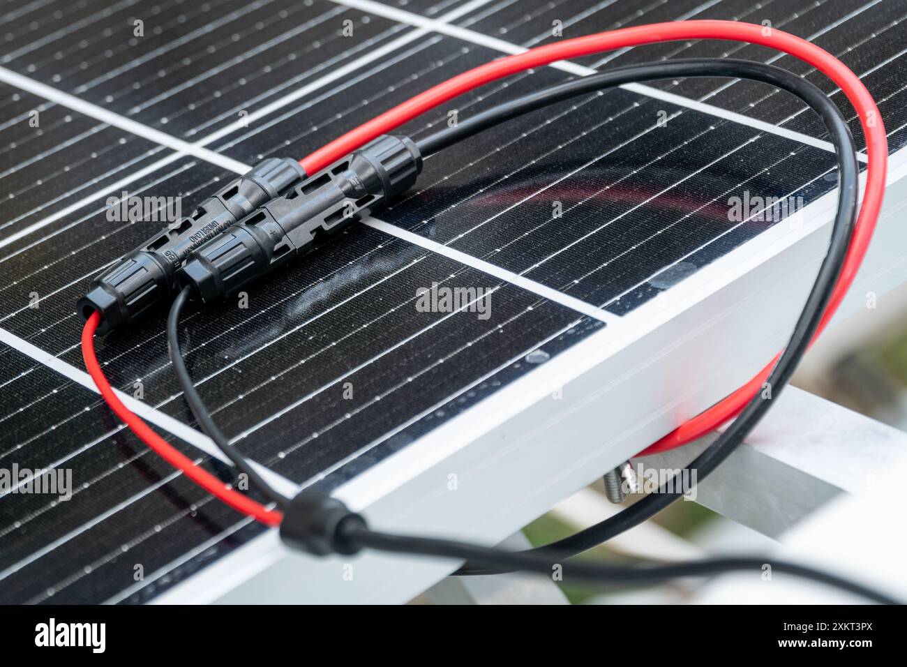 Nahaufnahme der mc4-Anschlüsse über dem Solarpanel. Erneuerbare Energien und Nachhaltigkeitskonzept Stockfoto