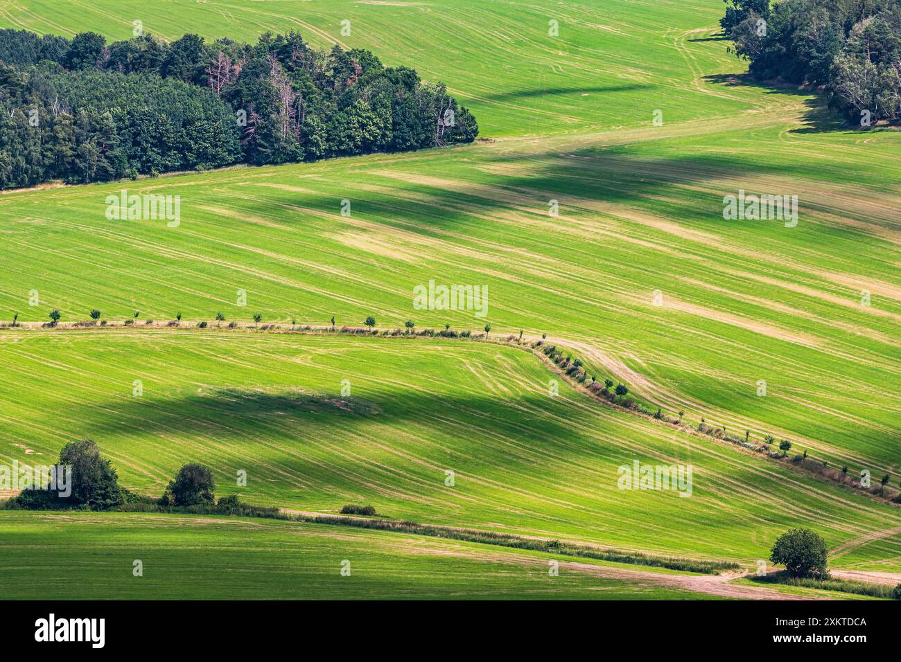 Blick auf den Aussichtsturm Spulka bei Lbosin in Tschechien, 18. Juli 2021. Stockfoto