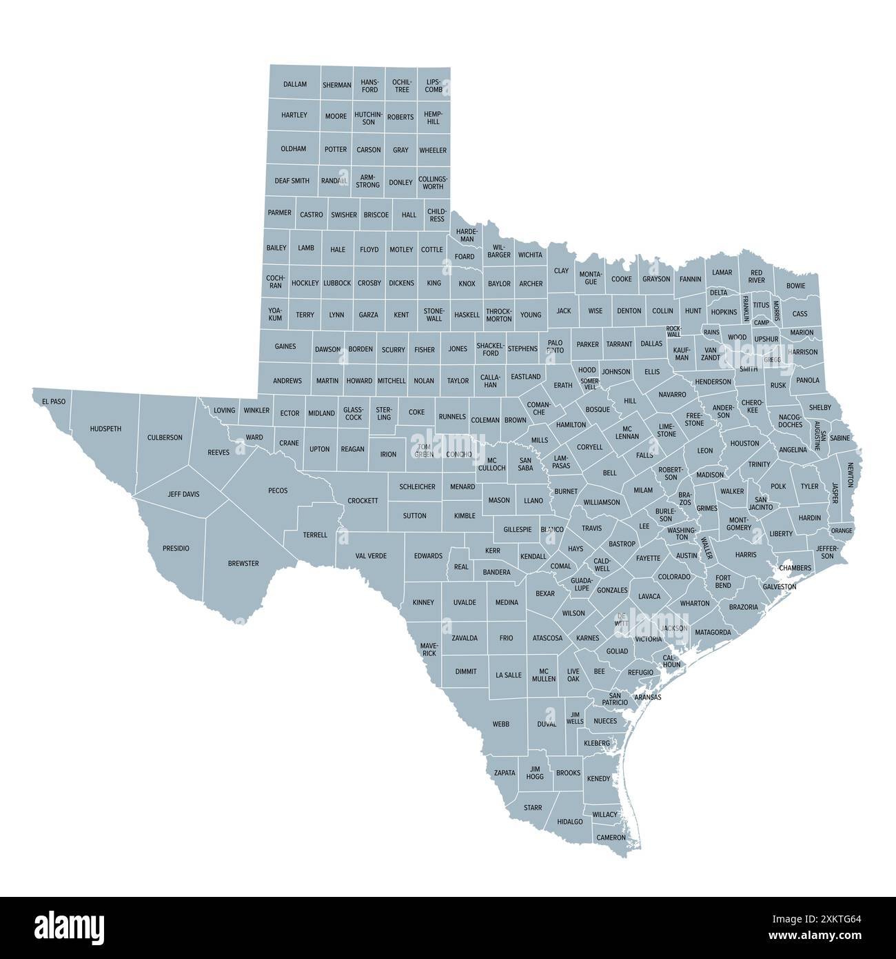 Texas County, graue politische Karte. Bundesstaat in der südlichen Zentralregion der Vereinigten Staaten, unterteilt in 254 Countys. Der Spitzname „Lone Star State“ (Lone Star State). Stockfoto