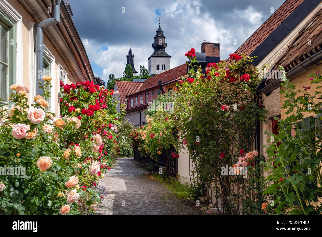 Enge Straße in der historischen Altstadt von Visby, Schweden Stockfoto