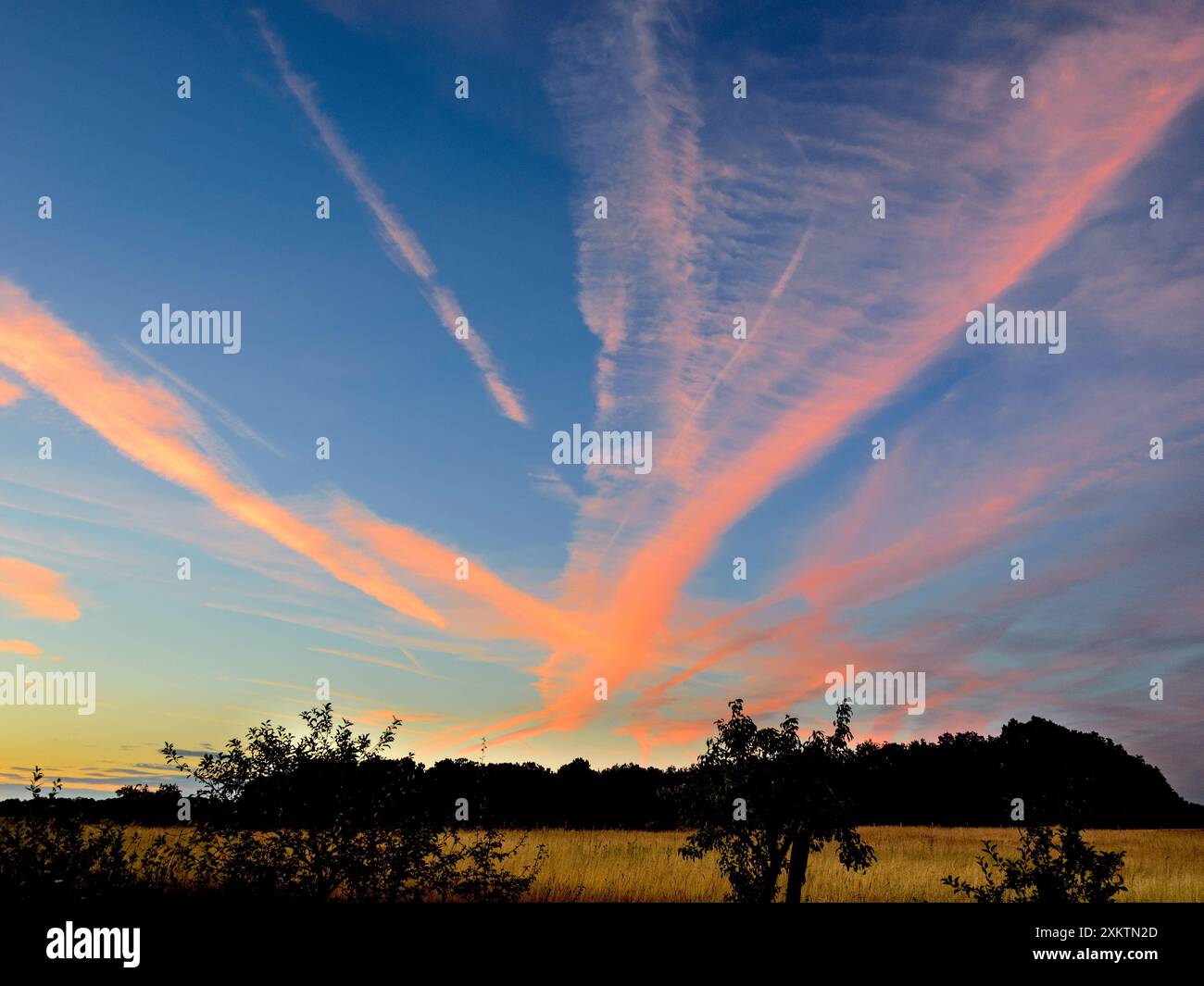 Kondensstreifen glühend im Sonnenuntergang - Zentralfrankreich. Stockfoto