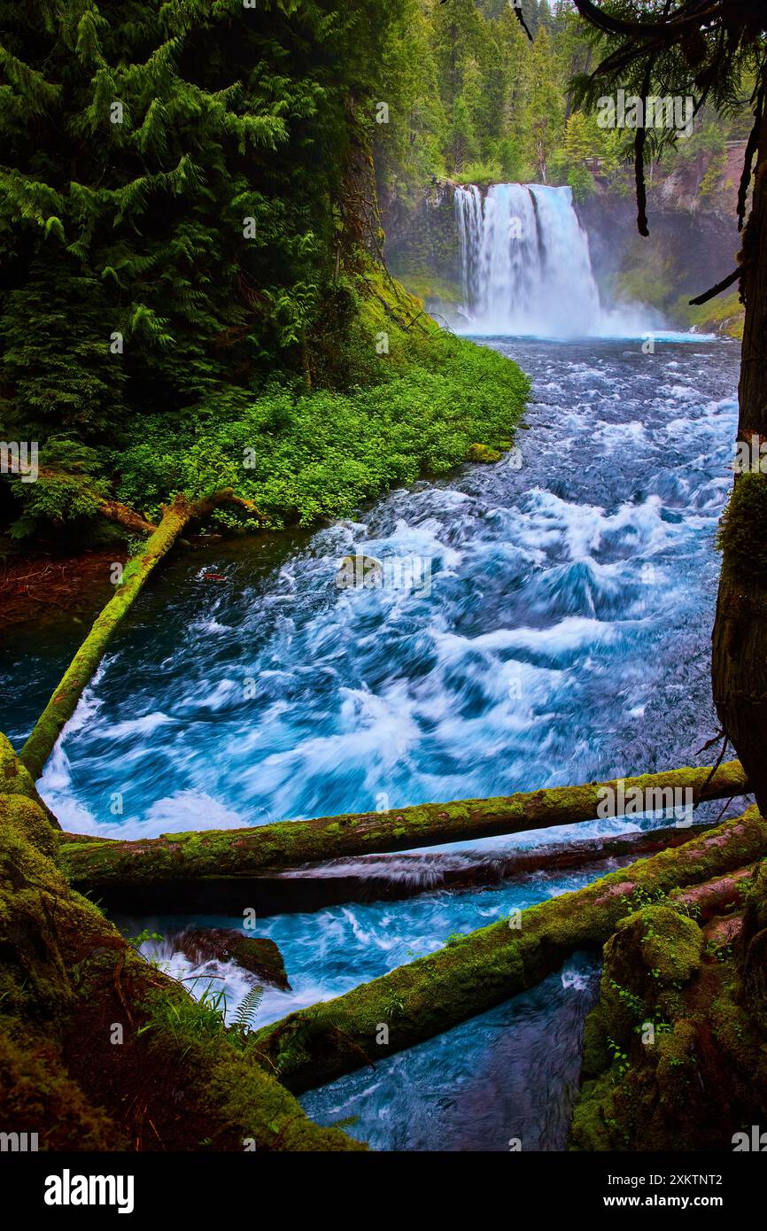 Koosah Falls und Rushing River aus der Vogelperspektive Stockfoto
