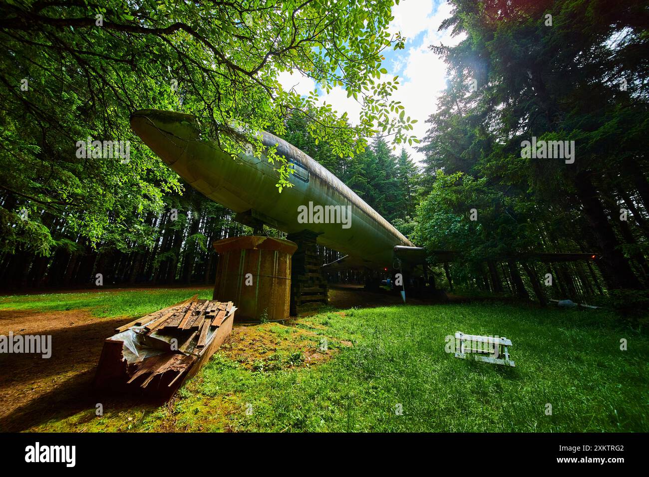 Altes Flugzeug in der Perspektive der Waldlichtung auf Augenhöhe Stockfoto