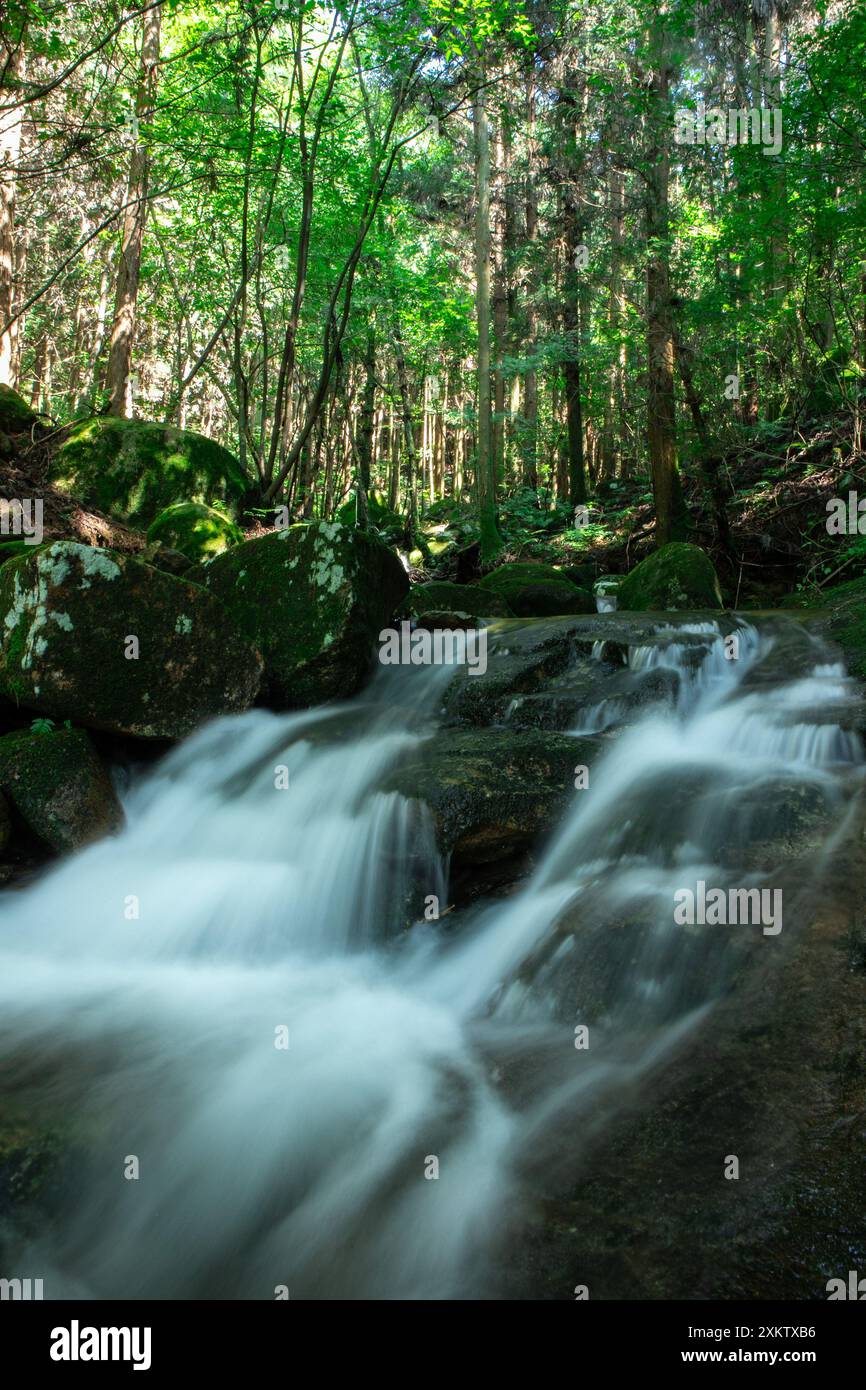 Ein Fluss in Jeollanam-Do, Südkorea Stockfoto