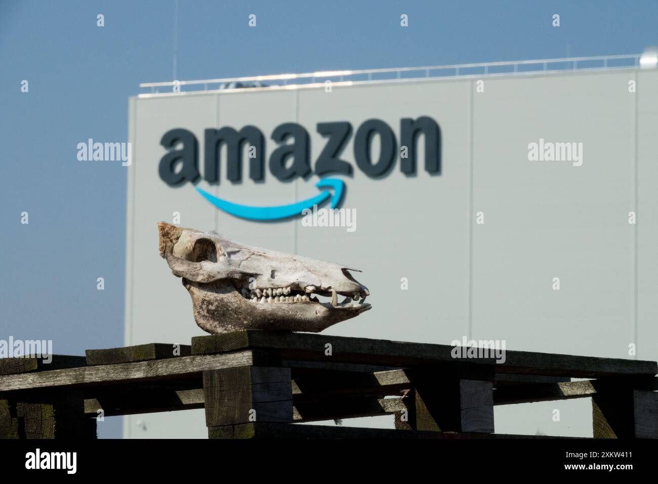 Ein Schweineschädel und das Firmenlogo auf dem Lagergebäude im Hintergrund Stockfoto