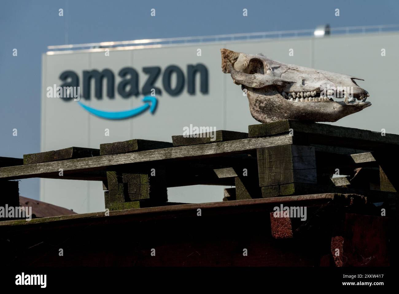 Ein Schweineschädel und das Firmenlogo auf dem Lagergebäude im Hintergrund Stockfoto