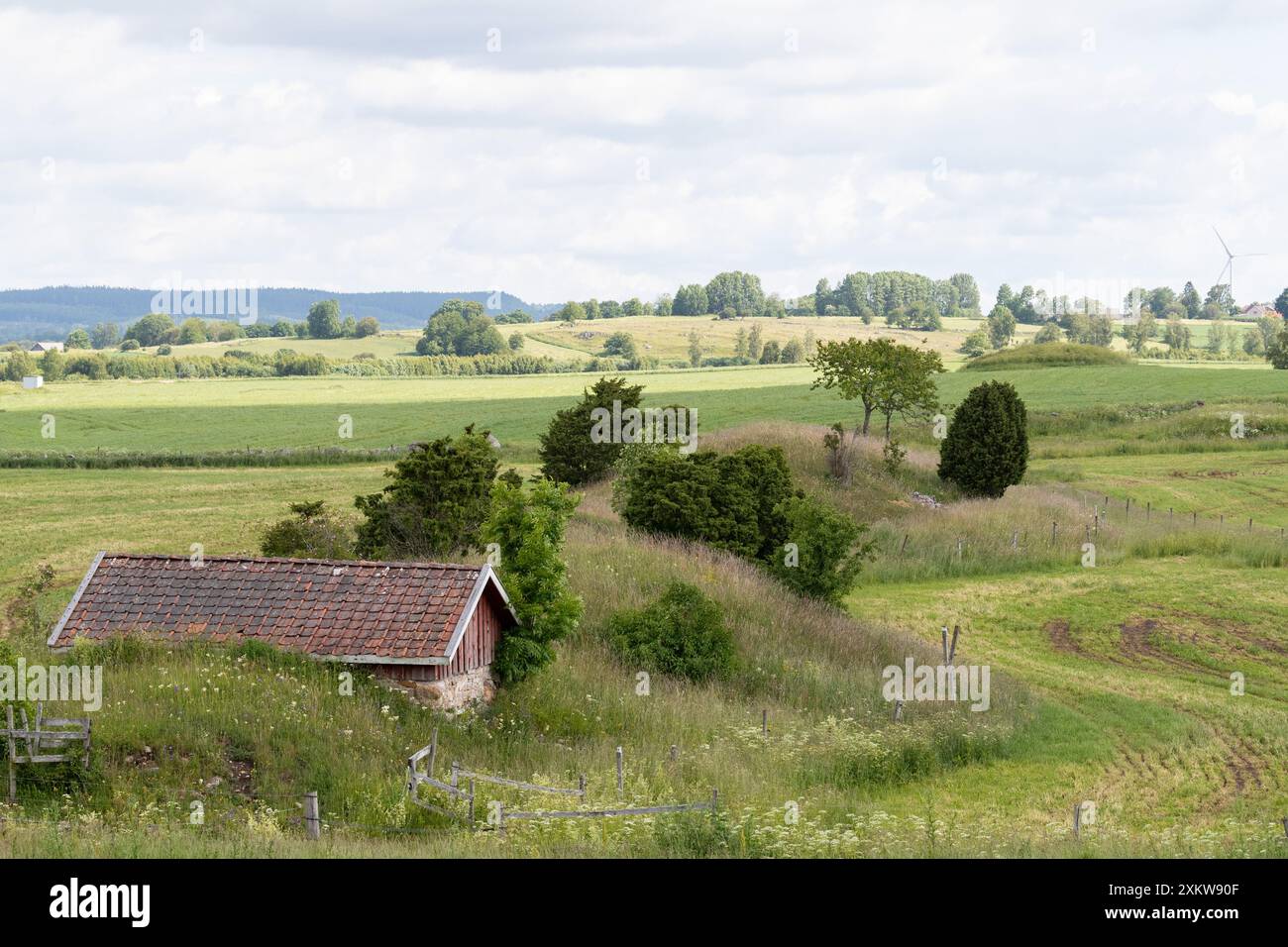 Landschaftliches Weideland mit Gras und Sommerblumen ohne Menschen und hölzerne rote Scheune Stockfoto