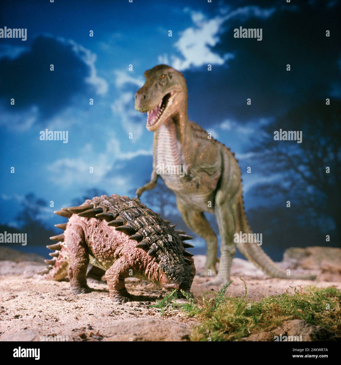 Ankylosaurus - mit Tyrannosaurus im Hintergrund Stockfoto