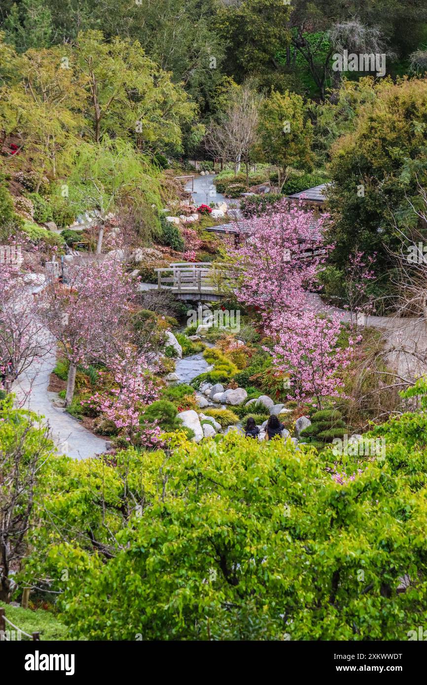 Die japanischen Gärten im Balboa Park in San Diego Stockfoto