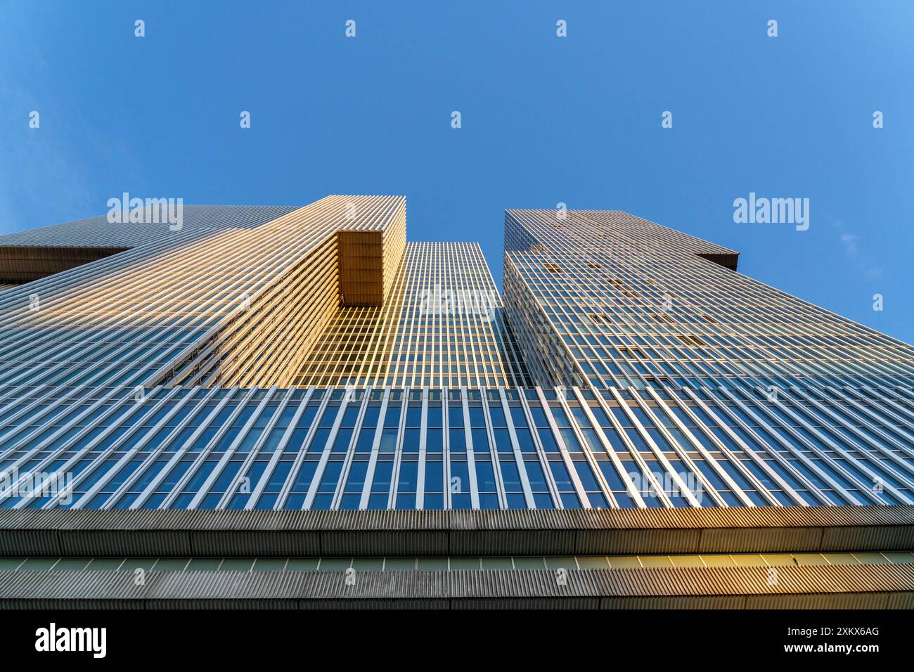 Hochhäuser am Kop van Zuid, Fassade, Rotterdam, Niederlande, Stockfoto