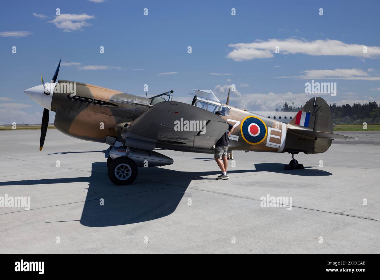 Curtis P-40 Kittyhawk in der Boundary Bay Kanada Stockfoto