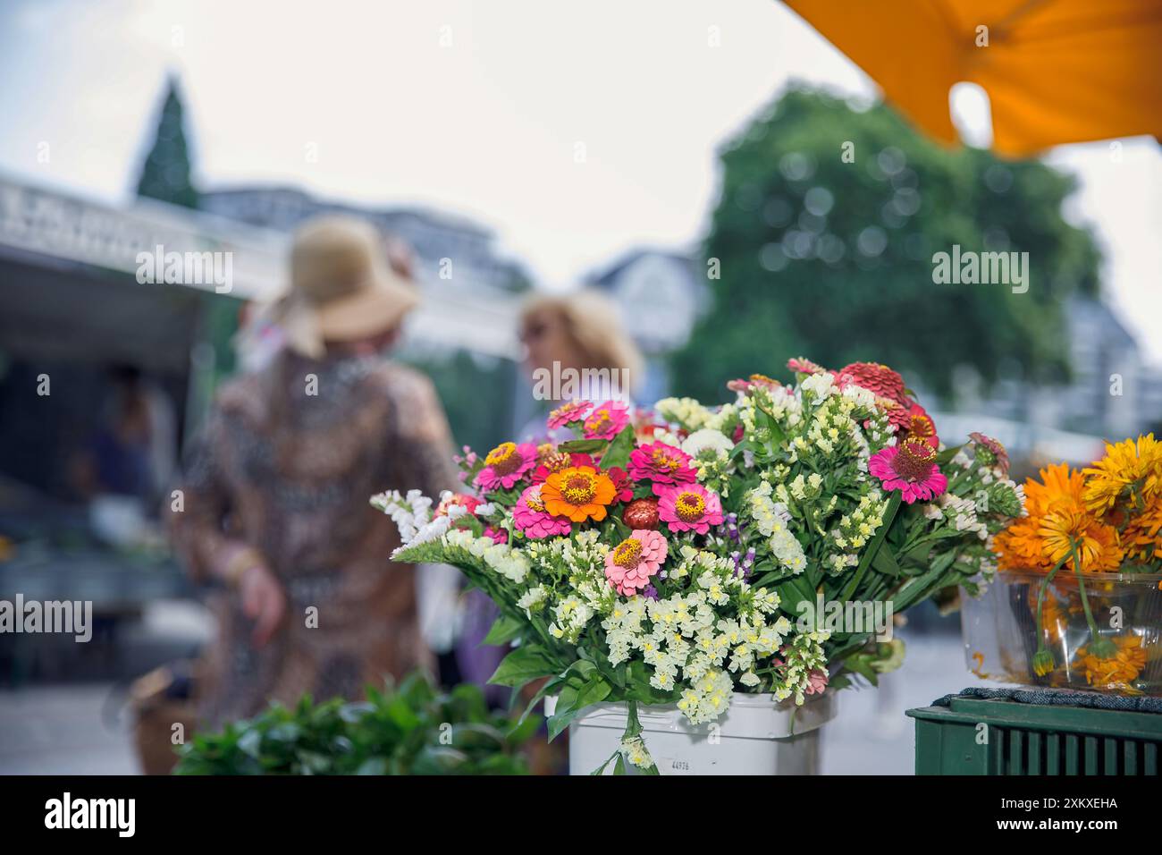 Die Schönheit der farbenfrohen Blumen in einer Marktumgebung schafft eine lebendige und lebhafte Atmosphäre, ein Marktleben-Konzept Stockfoto