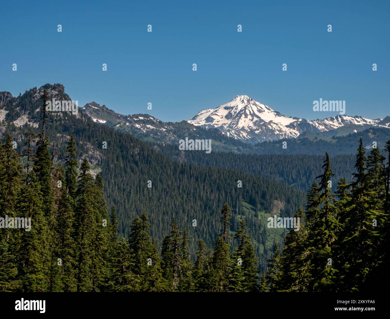 WA25518-00...WASHINGTON - Glacier Peak vom Pacific Crest Trail in der Henry M. Jackson Wilderness. Stockfoto WA25518-00...WASHINGTON - Glacier Peak vom Pacific Crest Trail in der Henry M. Jackson Wilderness. Stockfoto